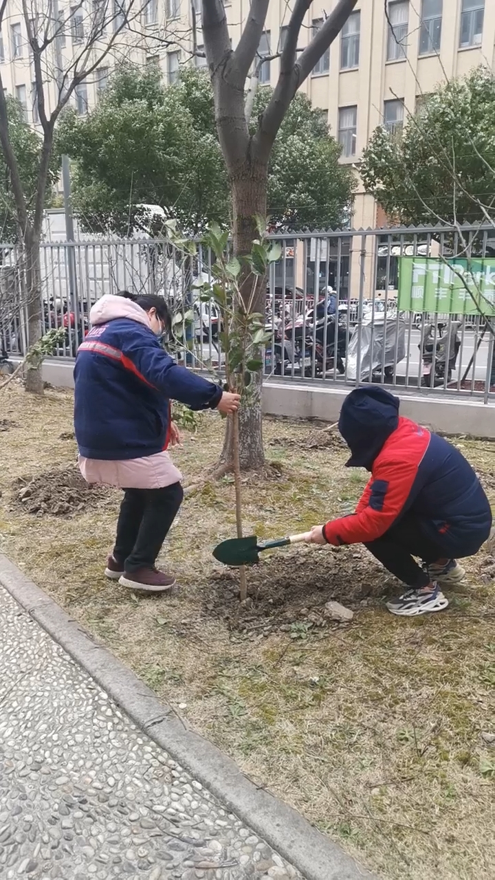 王琼引领公司巾帼团队，以植树行动点亮绿色希望——佳速物(wù)流3·12播种日志(zhì)